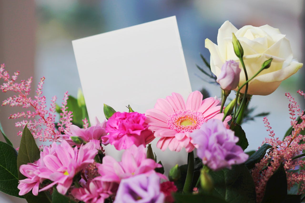 Flores de colores