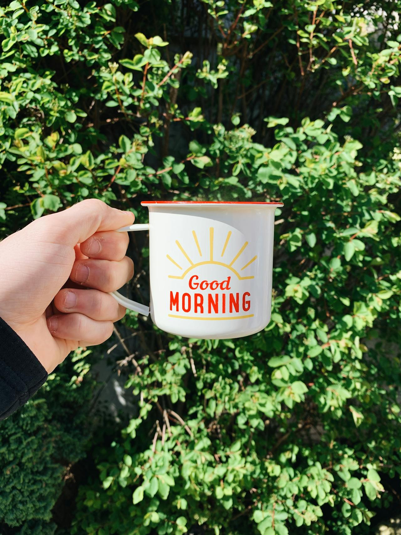 Taza soleada de buenos días
