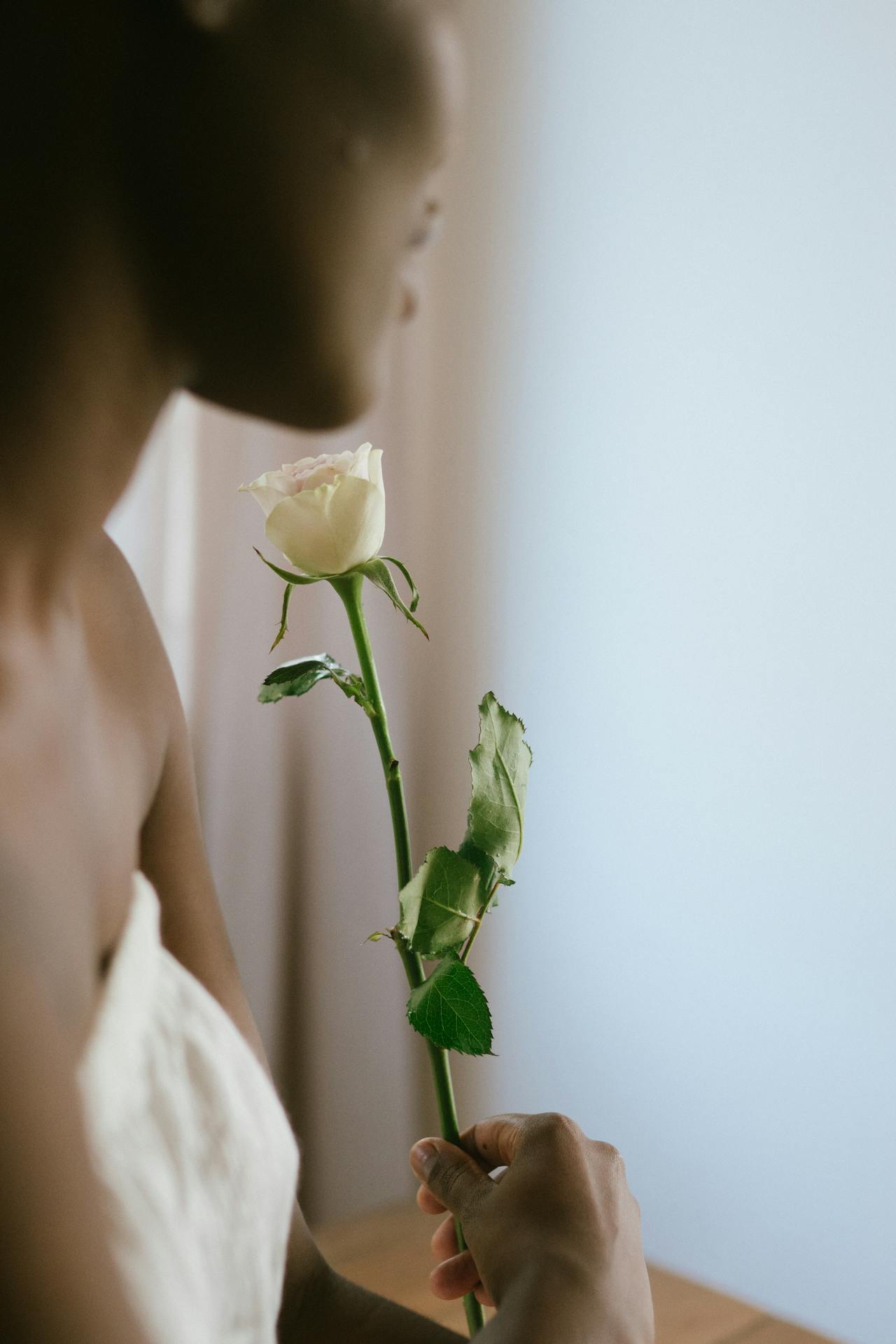Una rosa para mamá
