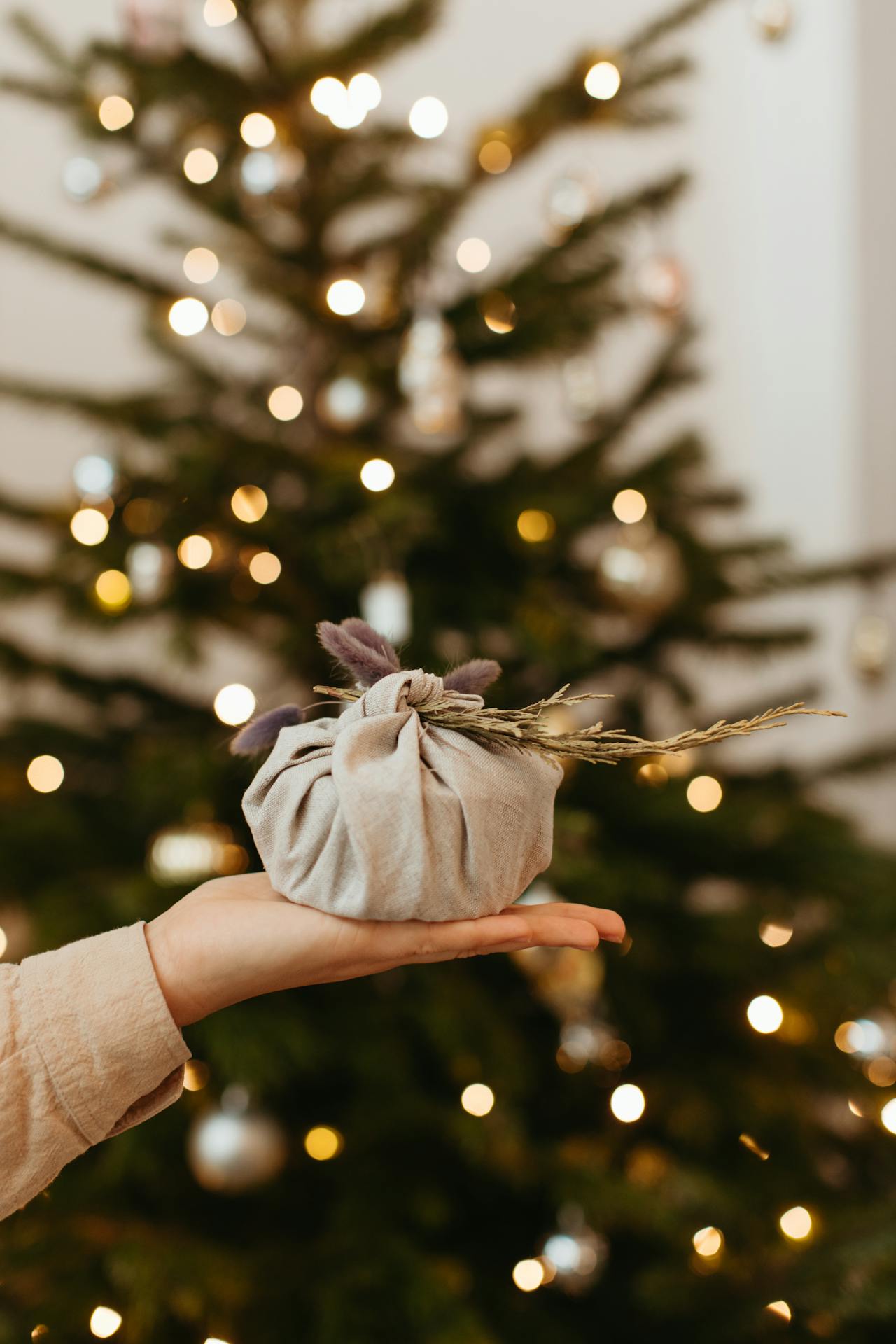 Un regalo para ti