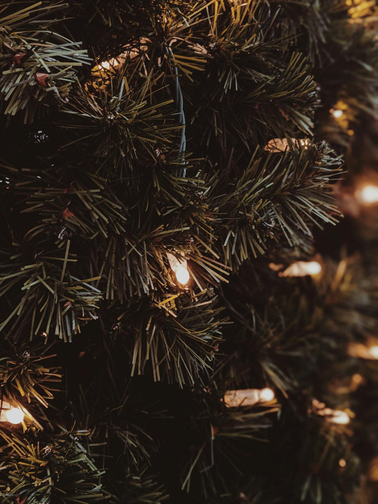 Luces de Navidad