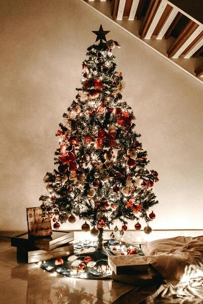 Bonito árbol de navidad