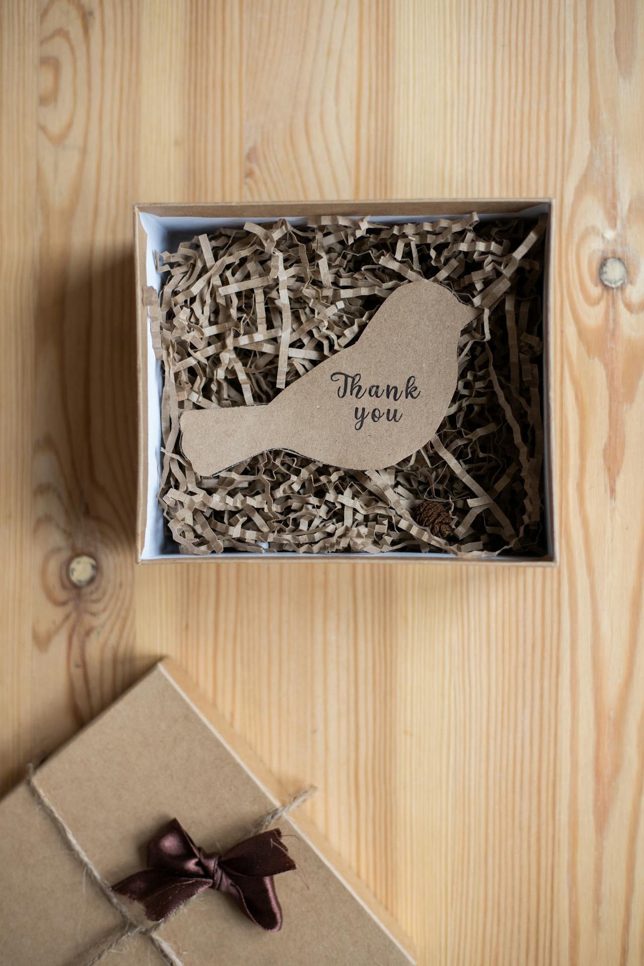 Caja y pájaro Caja y pájaro