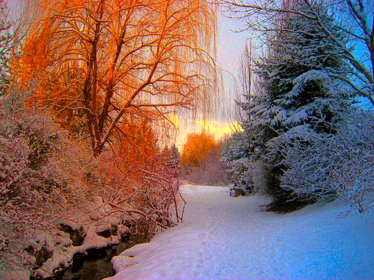 Invierno y otoño