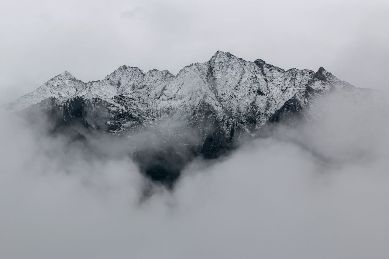 Puro invierno