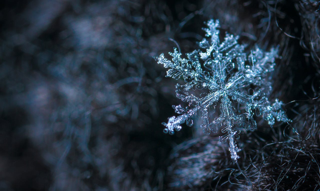 Frío de invierno