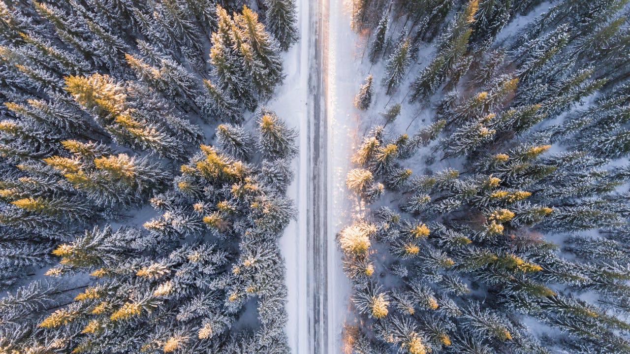 Camino