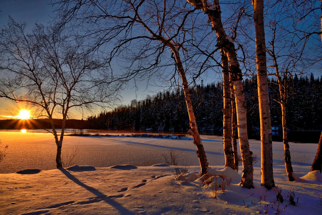 Amanecer nevado Amanecer nevado