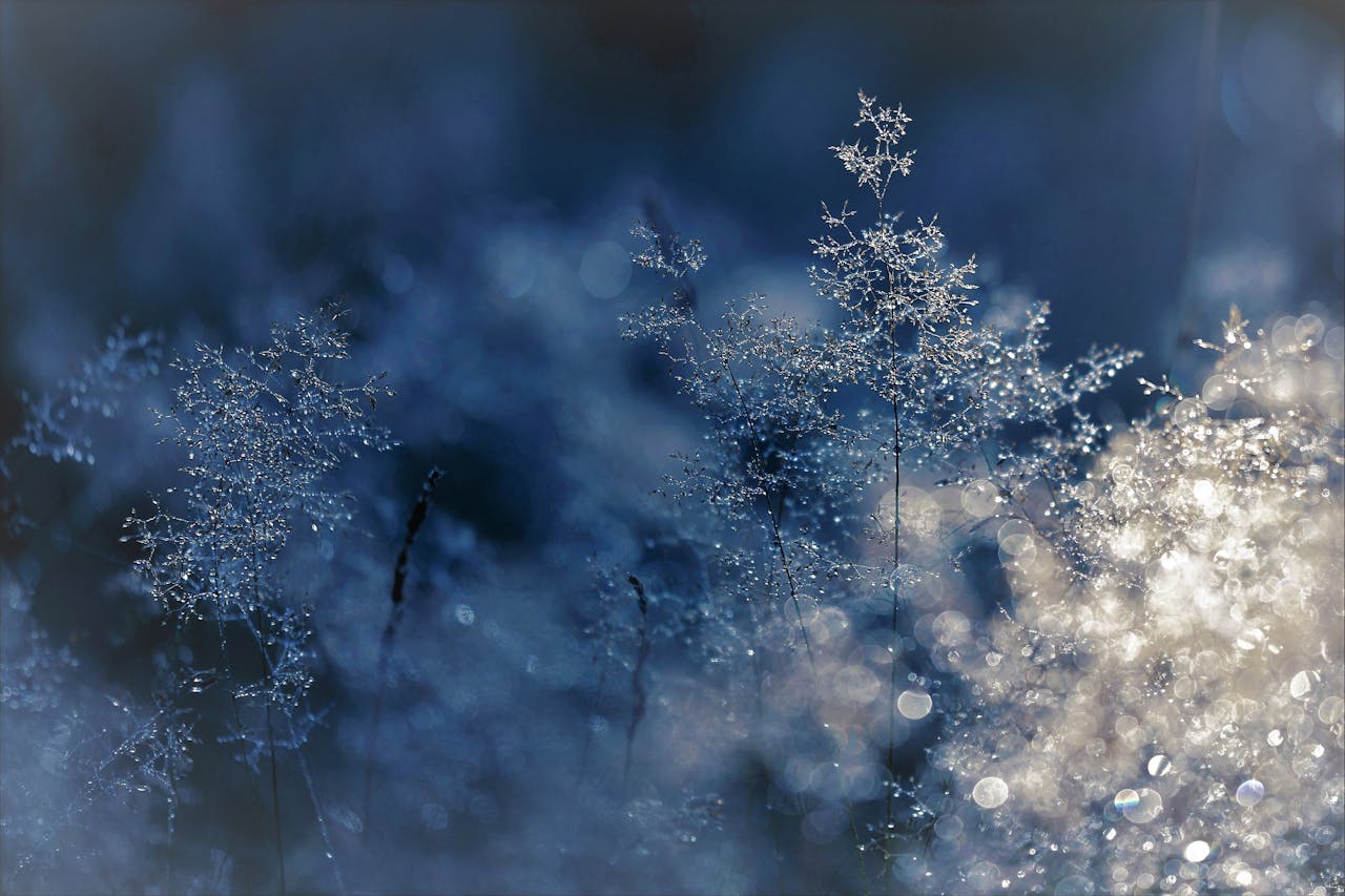 Invierno helado