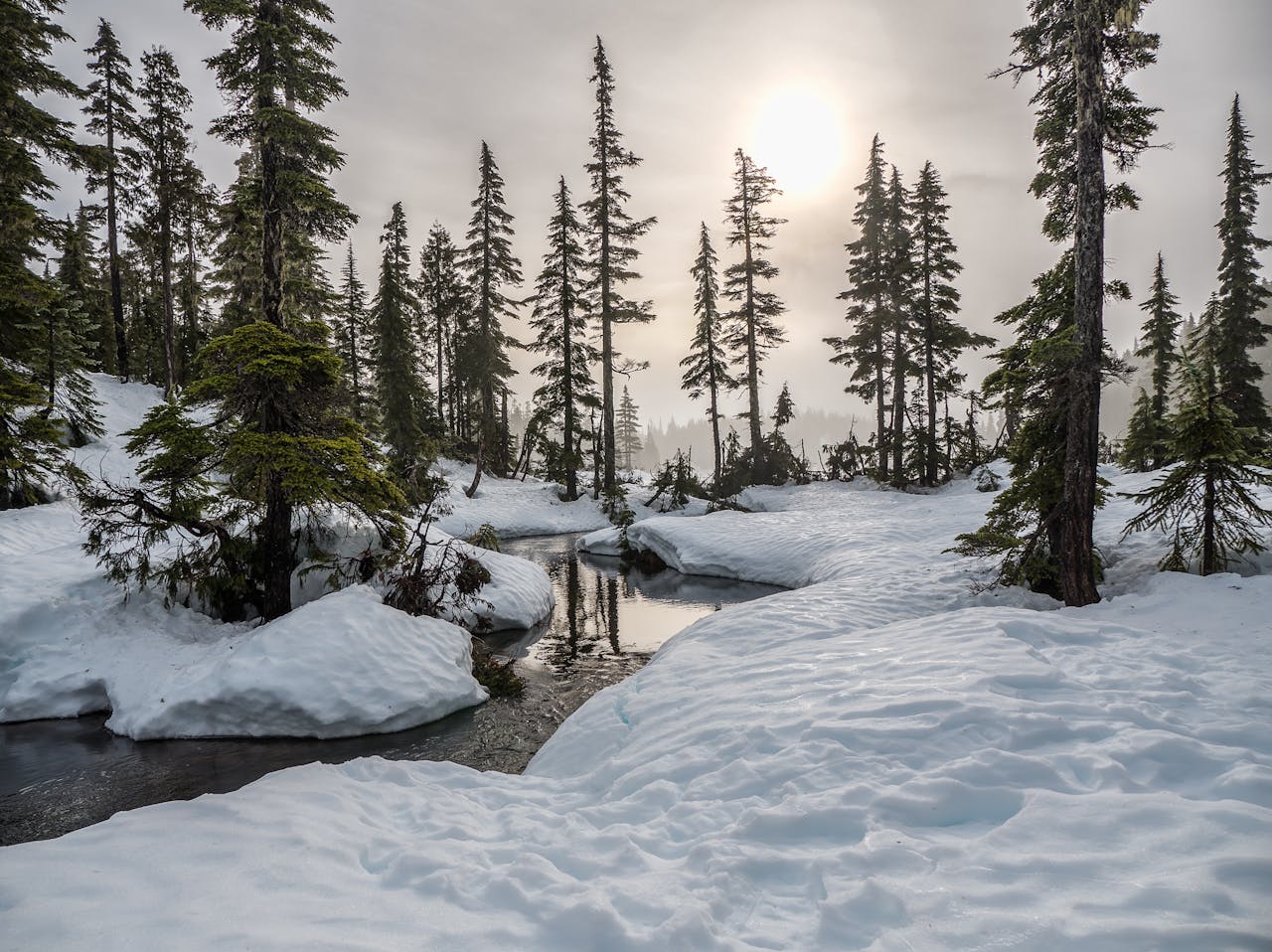 Río en la nieve