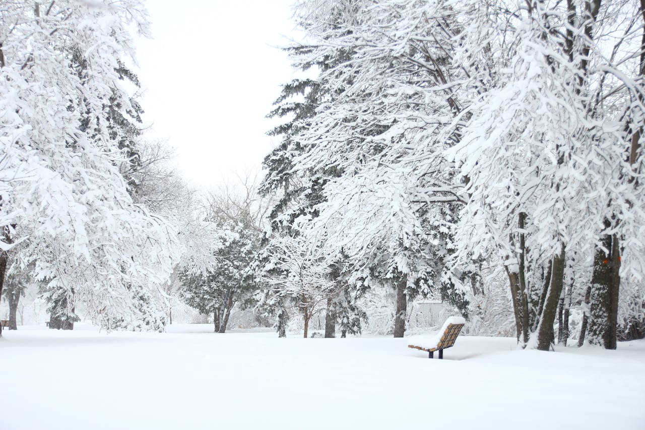 Paisaje de invierno