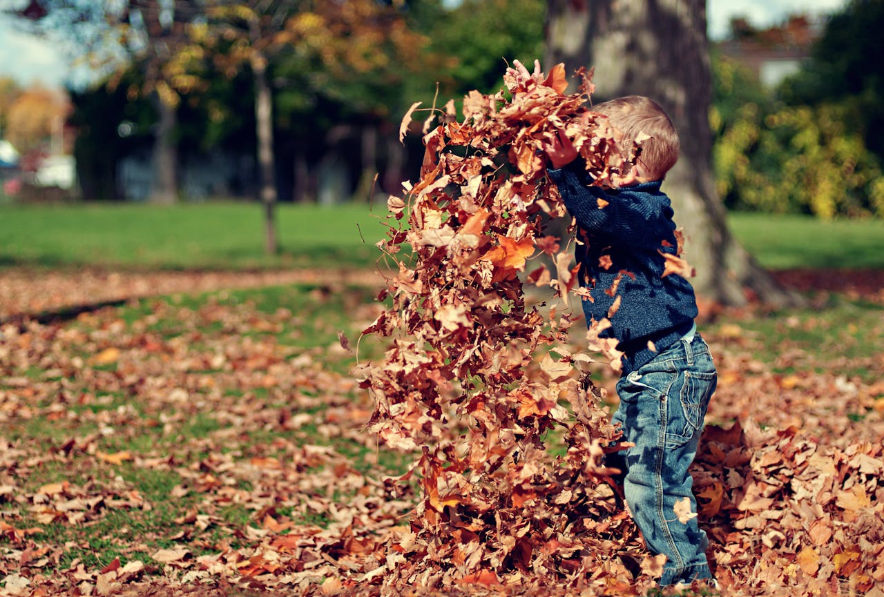 Jugando con el otoño