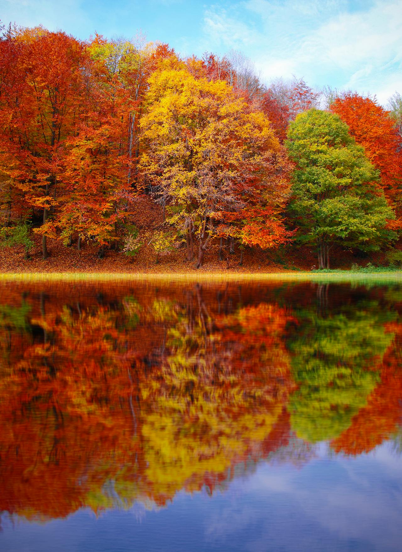 Reflejos de otoño
