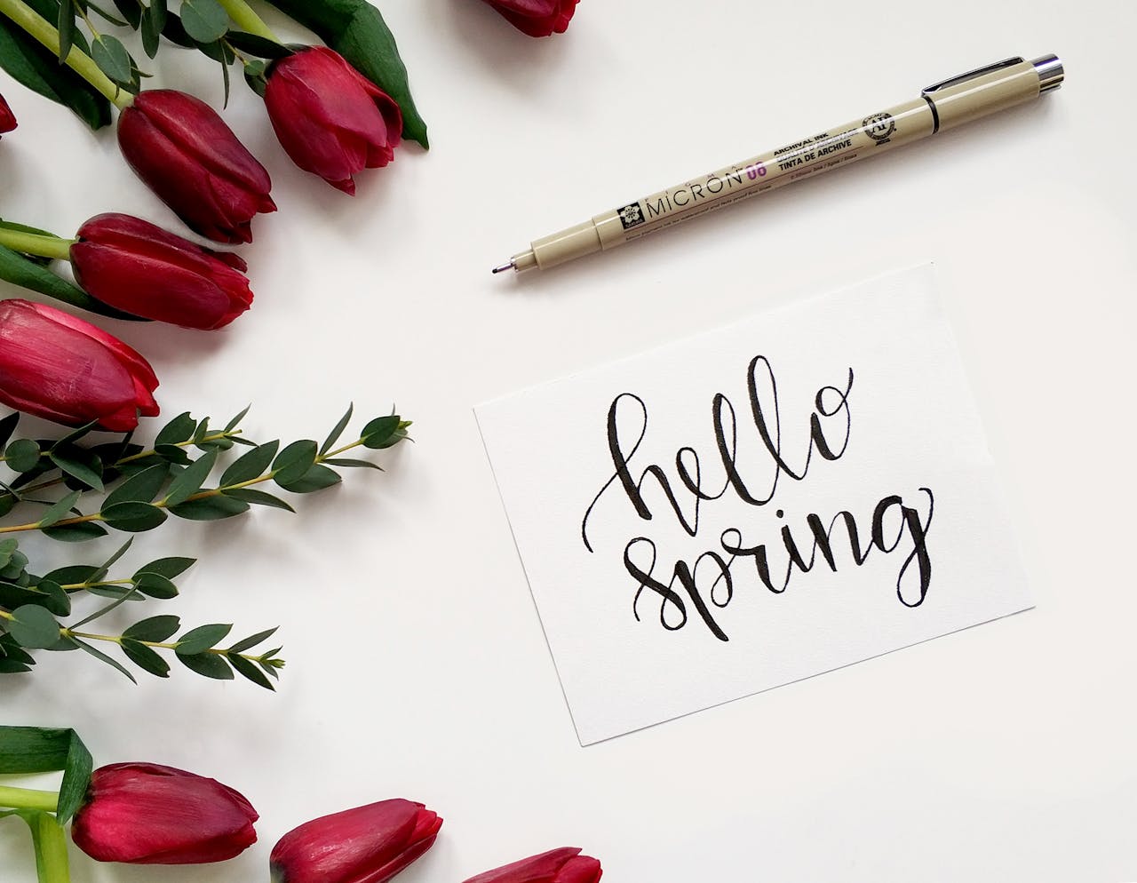 Hola primavera