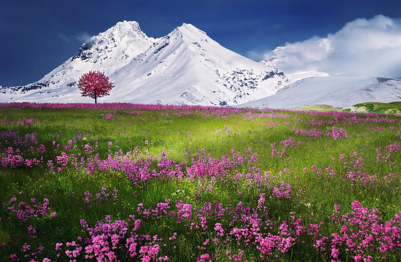 Primavera y montañas nevadas
