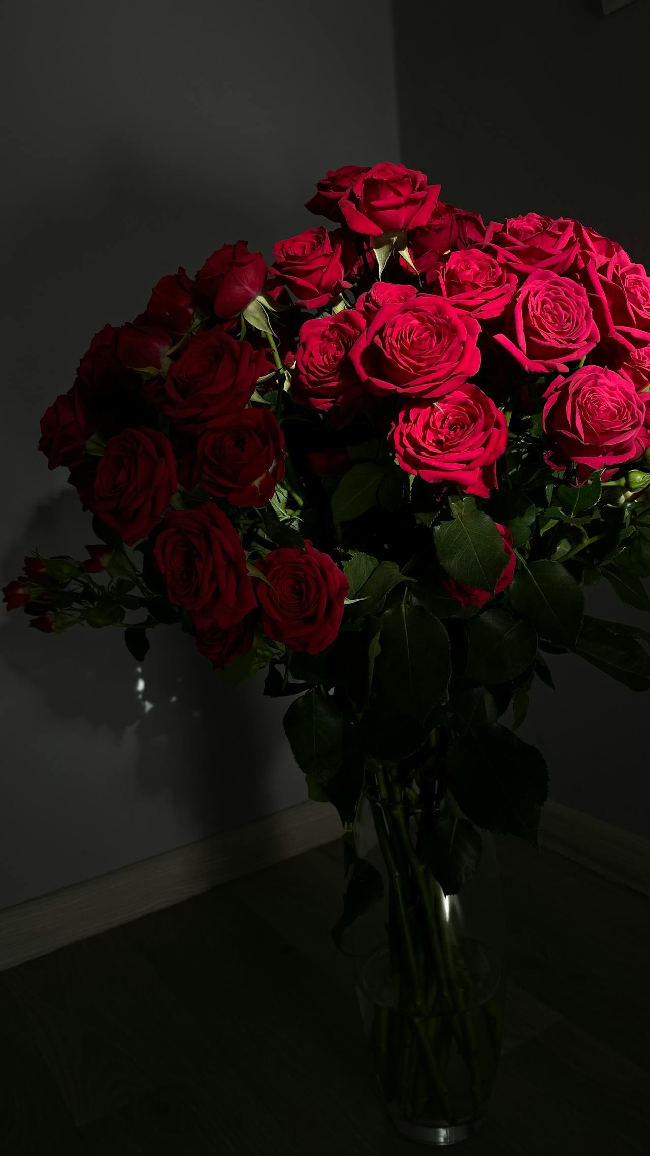 Rosas