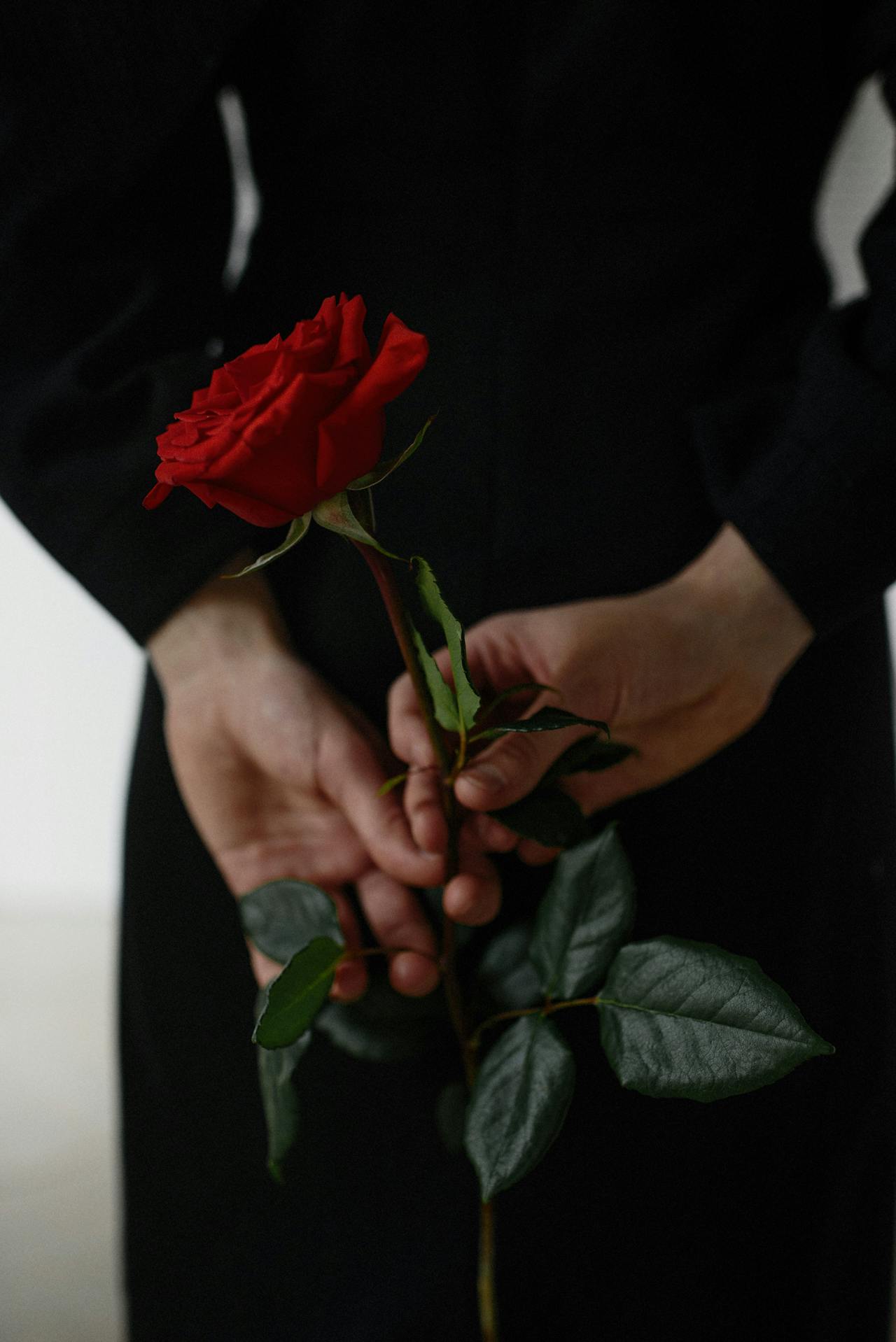 Te regalo una rosa
