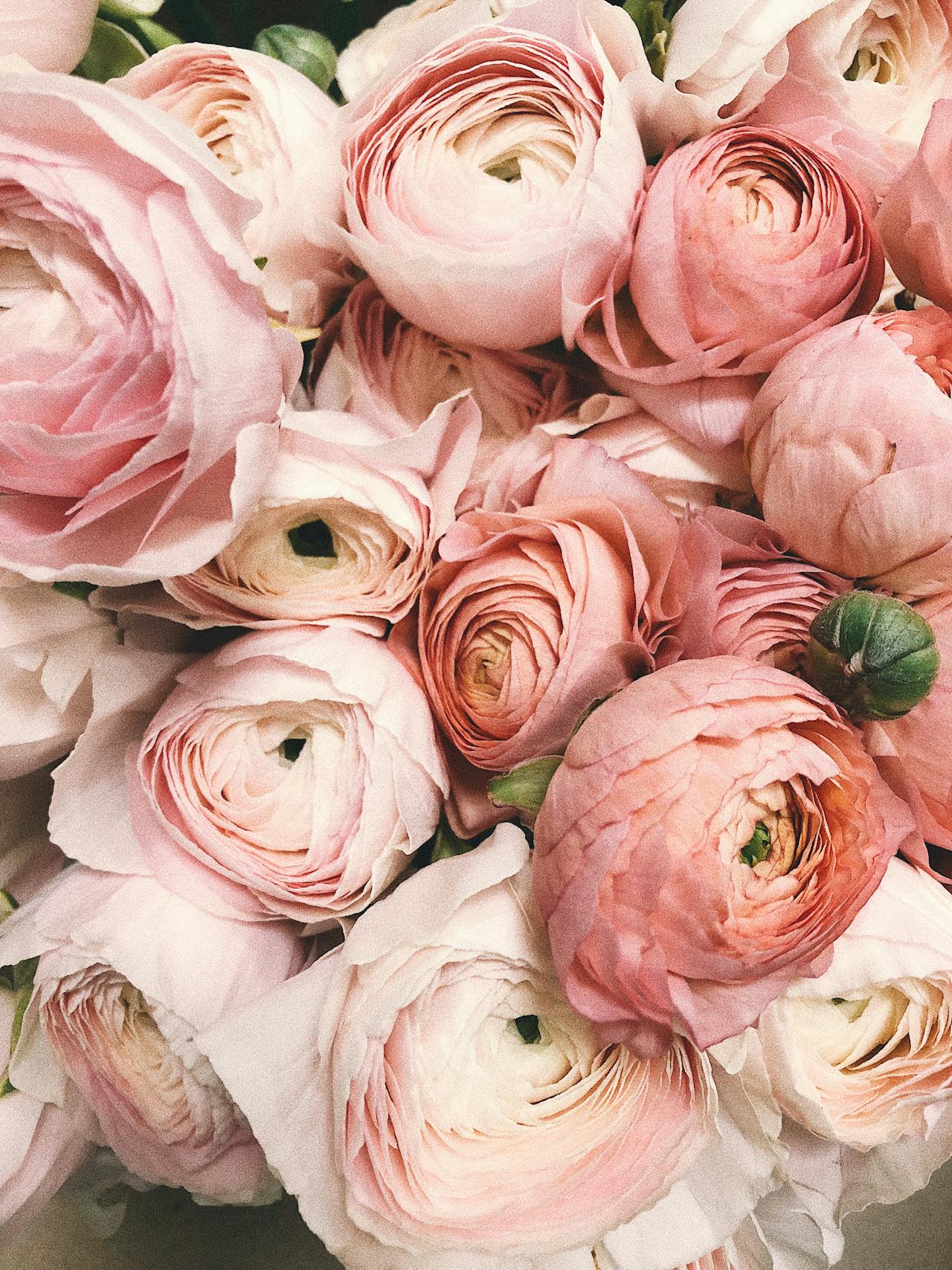 Ramo de rosas rosas