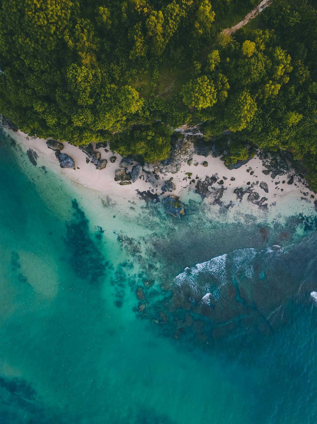 Cala